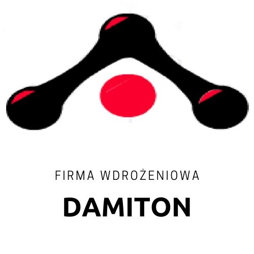 Firma Wdrożeniowa Damiton (DAM)